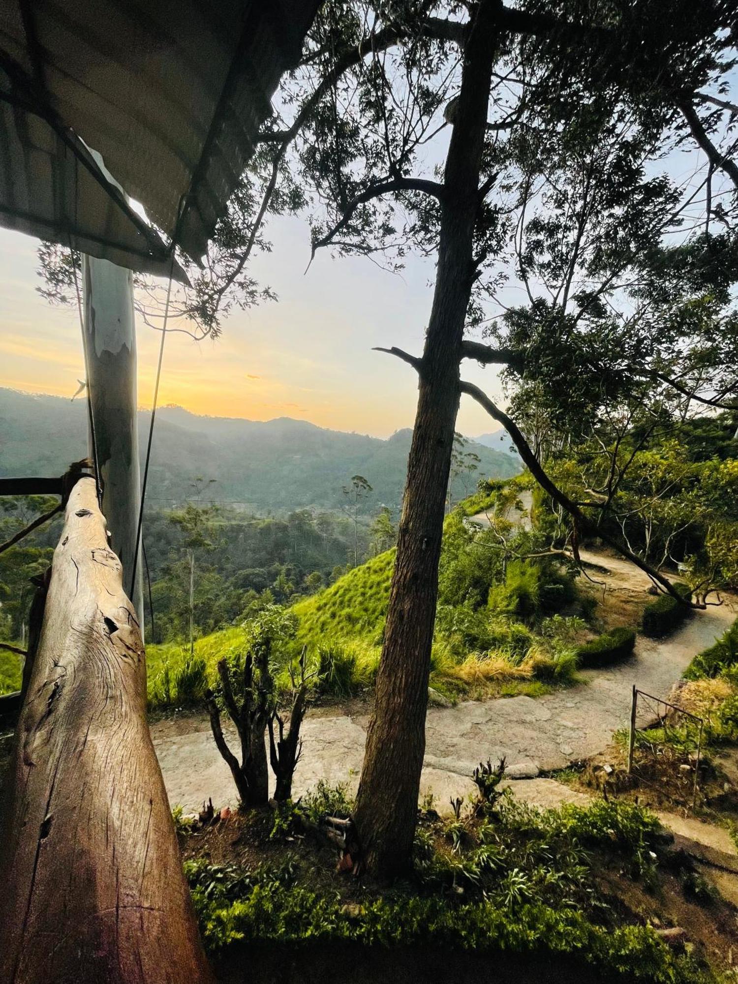 Mountain Vibe Ella